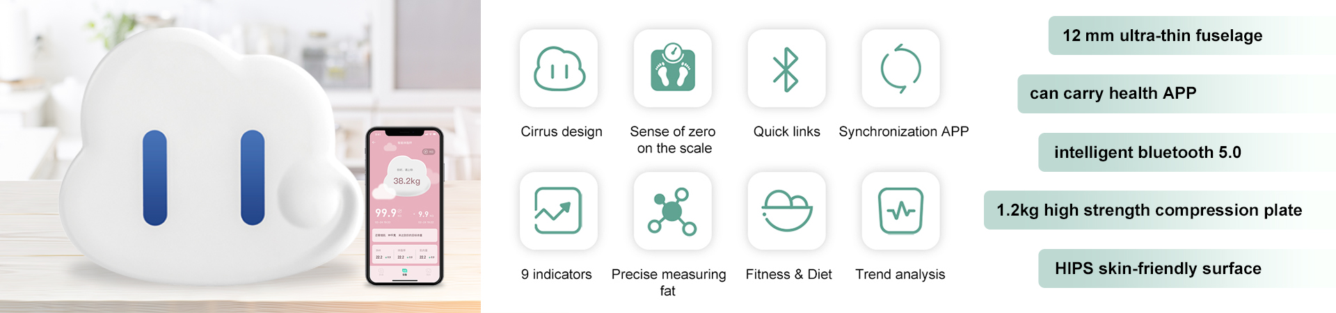 Body Fat Scale