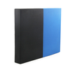 Blue Balance Pad