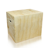 Pylo Box Jump