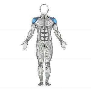 Resistance Band Lateral Raise