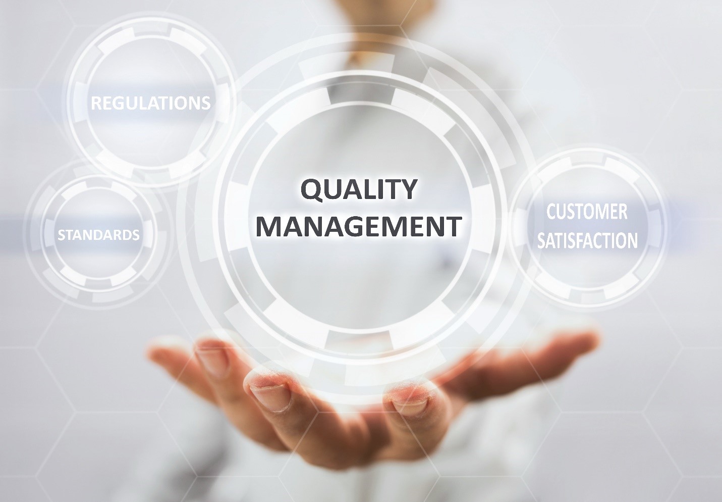 Enterprise and Quality Management System