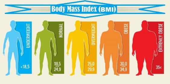 Body Fat Scale