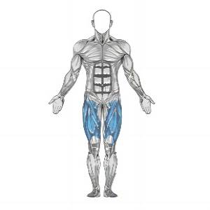 Resistance Band Squat