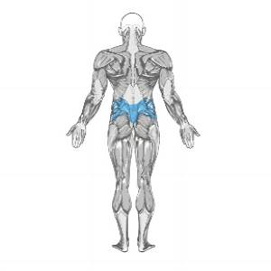 Reverse Band Deadlift