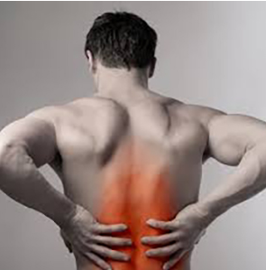 Use before and after training to increase blood flow and speed up muscle recovery
