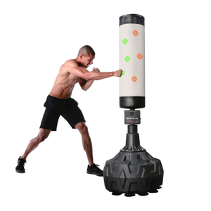 Smart Boxing Punching bag