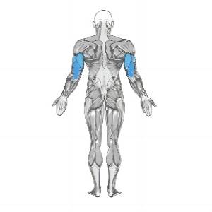 Reverse Band Bench Press